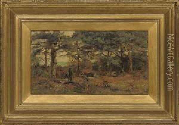 In A Fir Wood, Studland, Dorset Oil Painting - Theodore Hines