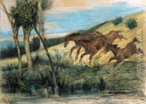 Cavalli In Fuga Oil Painting - Giovanni Fattori