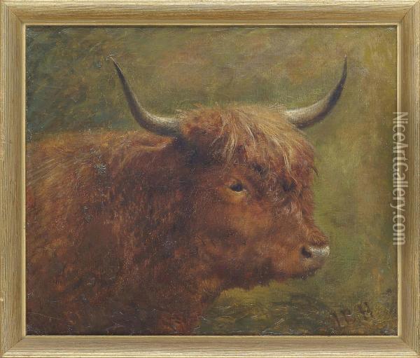Head Of A Bull Oil Painting - Louis Bosworth Hurt