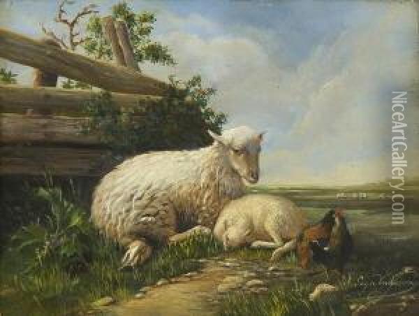 Mutterschaf Mit Lamm Und
 Huhnern. Oil Painting - Eugene Joseph Verboeckhoven