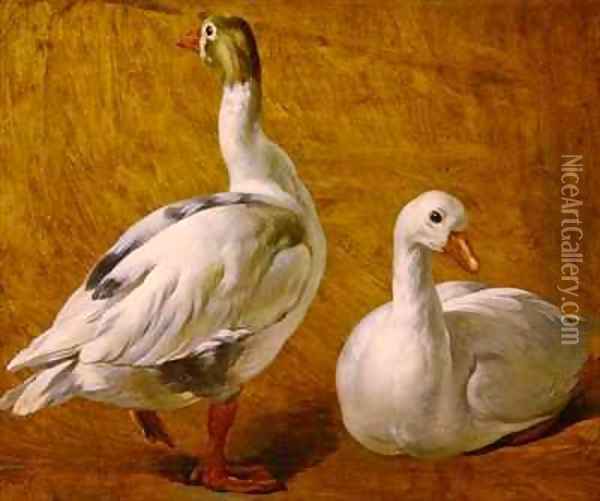 Study of Geese Oil Painting - Alexandre-Francois Desportes