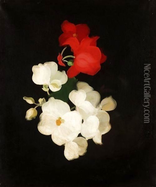 Red And White Roses 2 Oil Painting - James Stuart Park