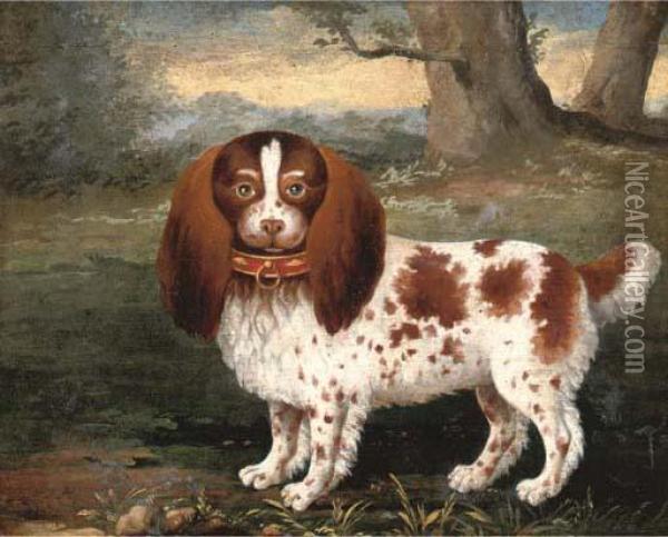 A Spaniel In A Landscape; And A Pomeranian In Landscape Oil Painting - George Stubbs
