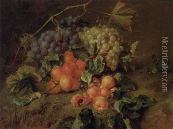 A Still Life With Grapes And Apricots Oil Painting - Adriana Johanna Haanen
