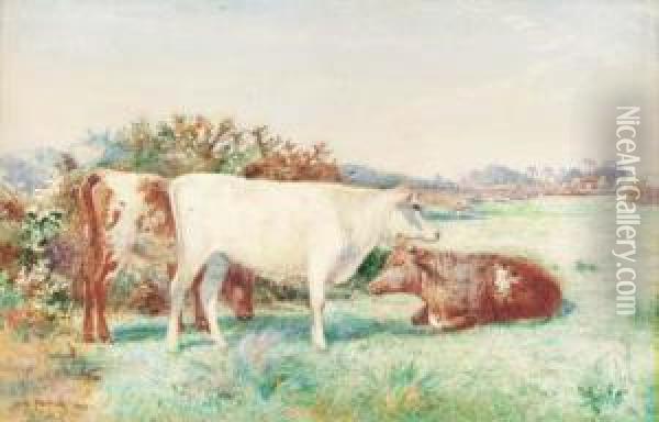 Cattle In A Meadow Oil Painting - John Pedder