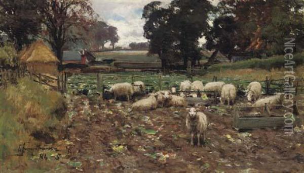 Sheep Among The Roots Oil Painting - David Farquharson