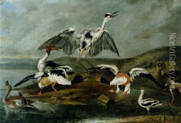 Ein Reiher, Enten Und Andere Wasservogel Am Ufer Eines Sees Oil Painting - Philipp Ferdinand de Hamilton