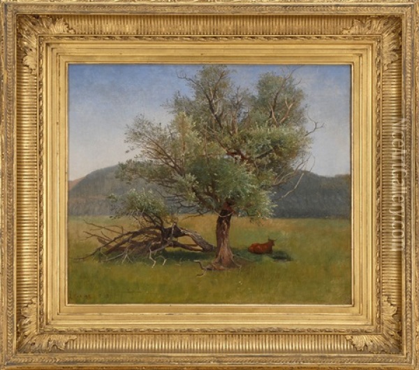 Tree, Lenox, Massachusetts Oil Painting - William Stanley Haseltine