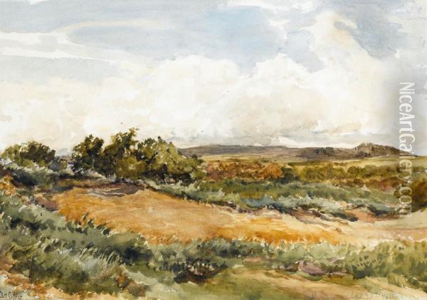Near Haslemere Surrey Oil Painting - Thomas Collier