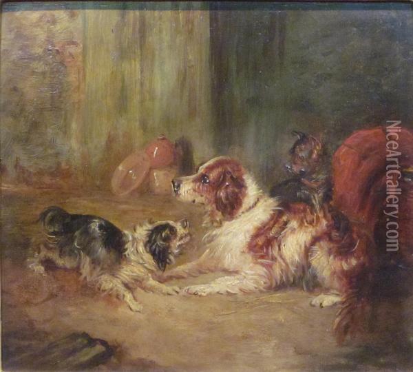 Spaniels And Terrier Play Fighting Oil Painting - George Armfield