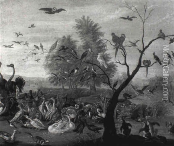 Assembly Of Birds In A Landscape Oil Painting - Jan van Kessel the Elder