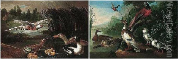 Assemblies Of Fowl Oil Painting - Marmaduke Cradock