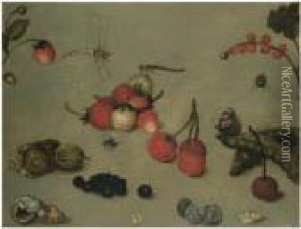 A Still Life With Fraises De 
Bois, Sea-shells, Coins, Cherries,dragonflies And Other Insects Oil Painting - Georg Flegel