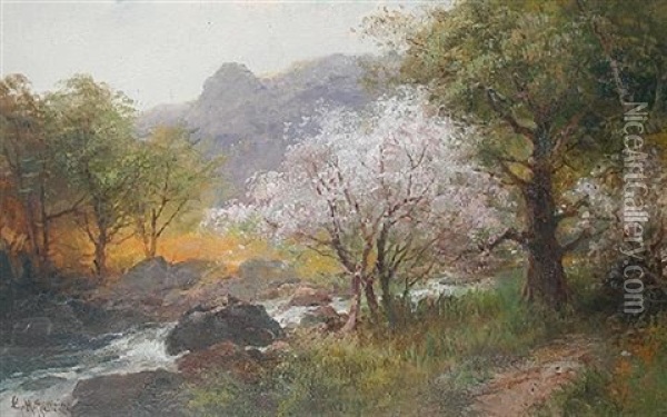 Hawthorn Near The Doverstone, Bickleigh, Devon Oil Painting - George Henry Jenkins