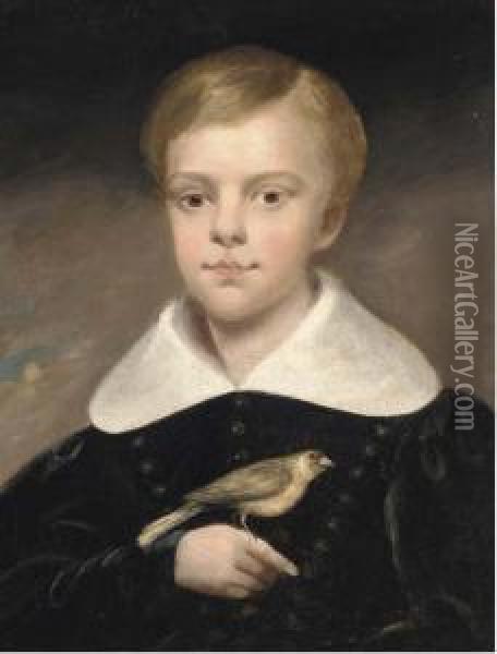 Portrait Of A Boy, Half-length, In A Black Coat, A Bird Perched Onhis Right Hand Oil Painting - Margaret Sarah Carpenter