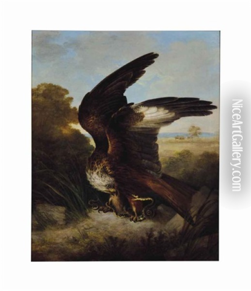 A Snake In The Talons Of An Eagle Oil Painting - Sir Edwin Henry Landseer