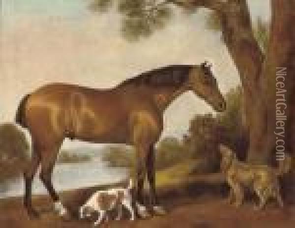 A Hunter And Hounds In An Extensive Landscape Oil Painting - George Stubbs