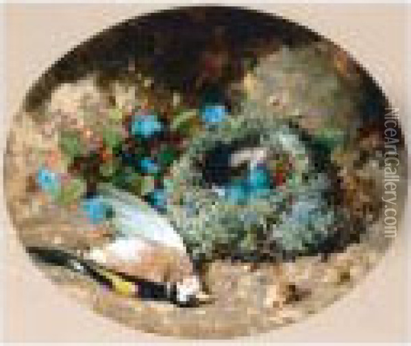 Goldfinch And Nest Oil Painting - William Cruickshank