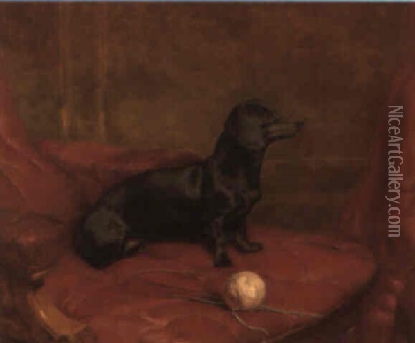 A Daschund On An Armchair Oil Painting - Harrison William Weir