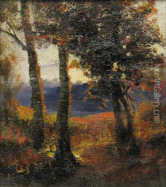 Peisaj De Toamna Oil Painting - Alexandru Hentia