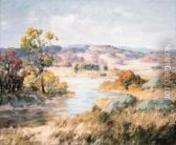 Grey Day In Autumn Oil Painting - Maurice Braun