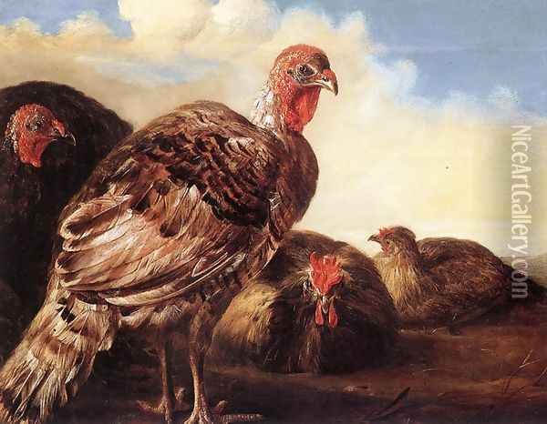 Domestic Fowl Oil Painting - Aelbert Cuyp