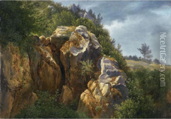 Rochers Oil Painting - Francois Diday