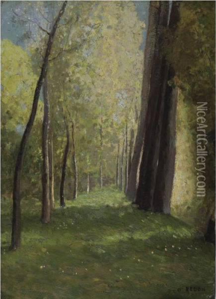 Allee D'arbres Oil Painting - Odilon Redon