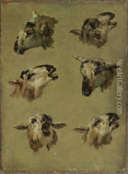 Six Etudes De Tetes De Moutons Oil Painting - Jean-Baptiste Huet I