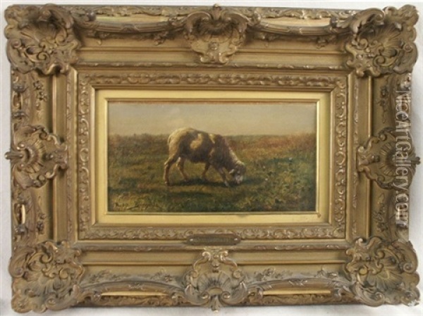 Lamb Grazing In A Field Oil Painting - Rosa Bonheur