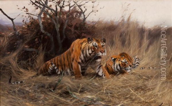 Roused, A Tiger And Tigress Oil Painting - Wilhelm Friedrich Kuhnert