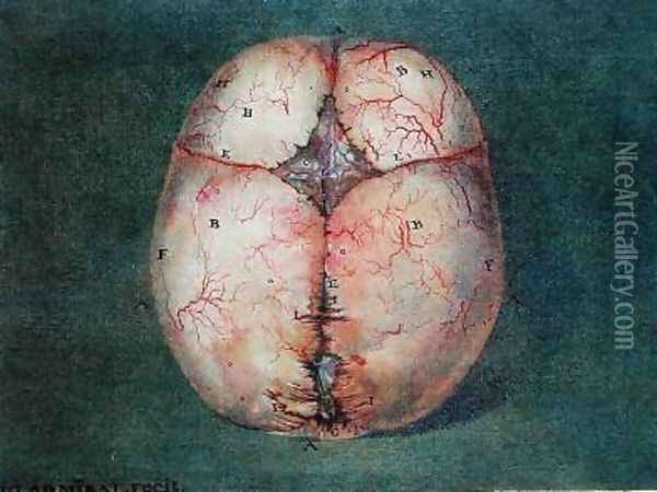 The Brain Oil Painting - Jan or Joannes Ladmiral