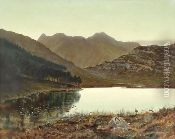 Blea Tarn At First Light, Langdale Pikes In The Distance Oil Painting - John Atkinson Grimshaw