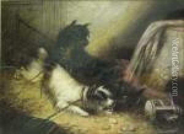 Terriers In A Barn Oil Painting - George Armfield