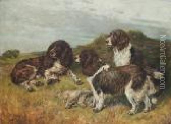 Springer Spaniels On A Moor Oil Painting - John Emms