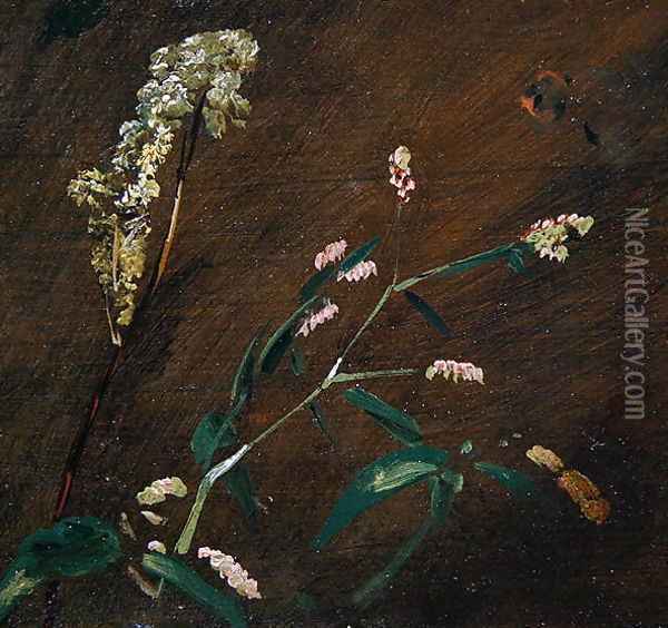 Flower Studies: Persicaria and Meadowsweet Oil Painting - John Constable