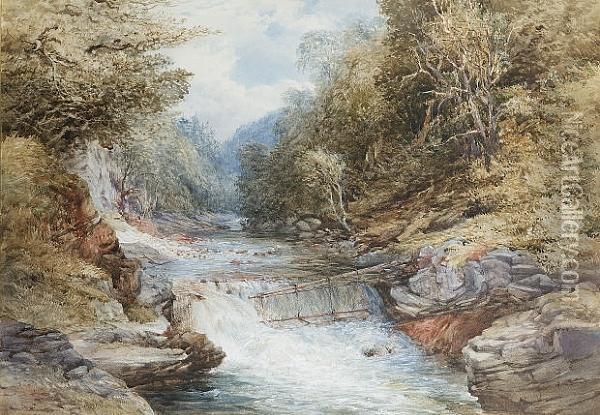 The Salmon Leap Oil Painting - Samuel Thomas George Evans