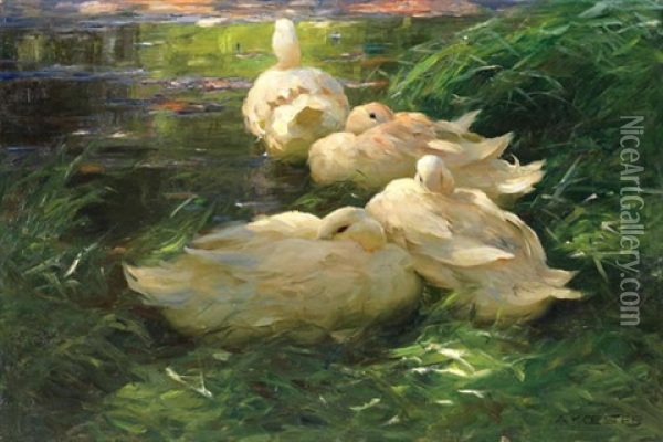 Vier Enten Im Schilfwasser Oil Painting - Alexander Max Koester