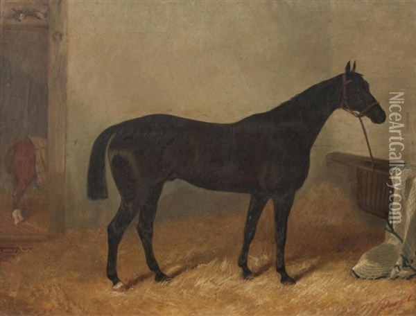 Seal Brown Horse In A Stable Oil Painting - John Duvall