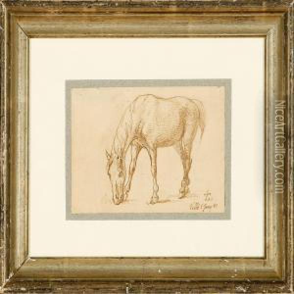 A Grazing Horse Oil Painting - Johan Thomas Lundbye