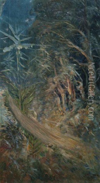 A Dark Forest Oil Painting - Elias Muukka