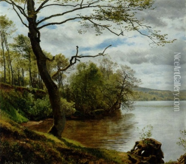 Skovso, Sommer Oil Painting - Janus la Cour