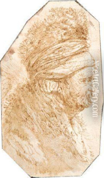Figure D'homme Barbu Oil Painting - Rembrandt Van Rijn