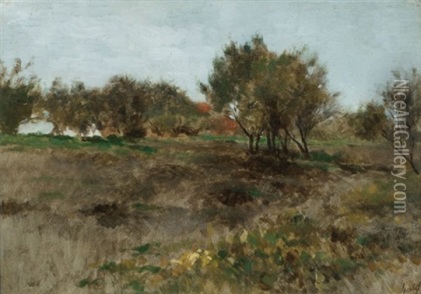 Field And Trees Oil Painting - Thomas Herbst