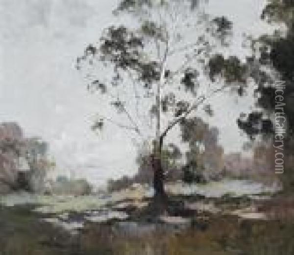 Landscape With White Gum Oil Painting - Theodore Penleigh Boyd