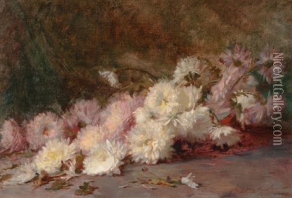 Still Life Of Pink And White Chrysanthemums Oil Painting - Wilton Robert Lockwood