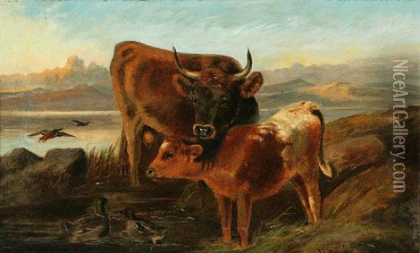 Cow And Calf In A Highland Landscape Oil Painting - James Stephen Gresley
