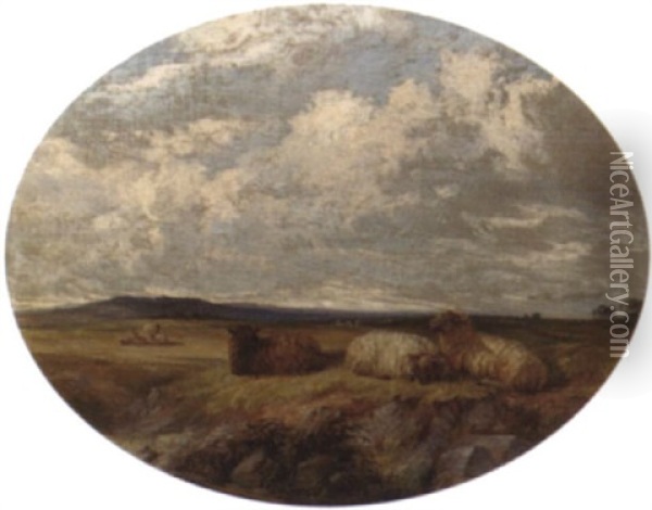Sheep In A Meadow Oil Painting - Edward F. D. Pritchard
