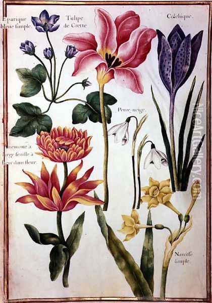 Flower Studies Oil Painting - Nicolas Robert