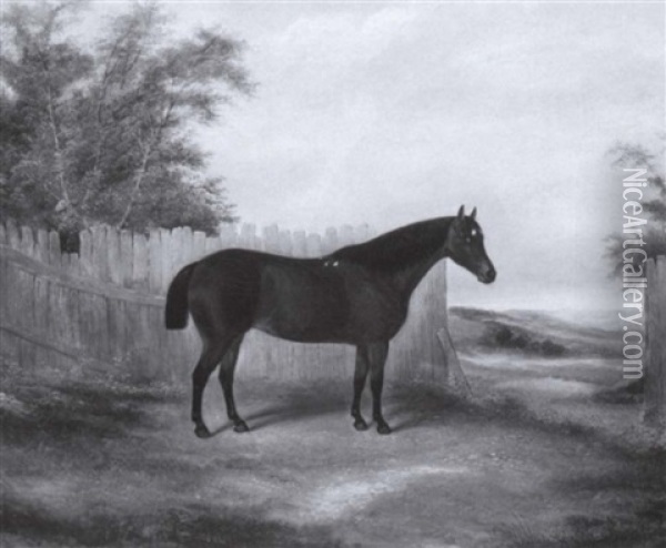 Hunter Before A Fence Oil Painting - James Clark